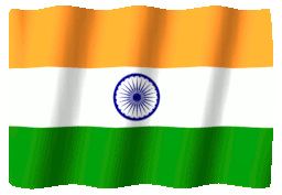 FLAG icon
